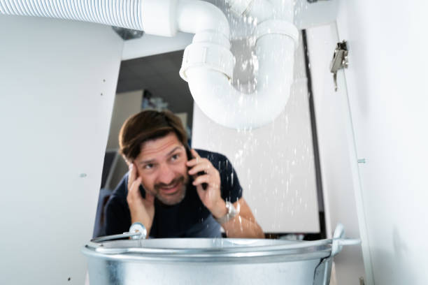 Best Drain Cleaning Services  in West Brownsville, PA